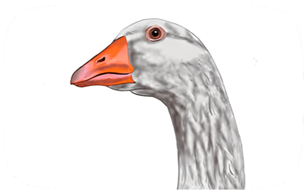 Goose Clicker